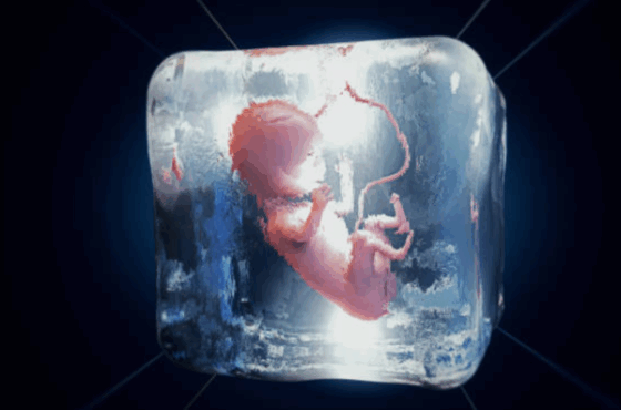 Embryo transfer cost fertility treatment